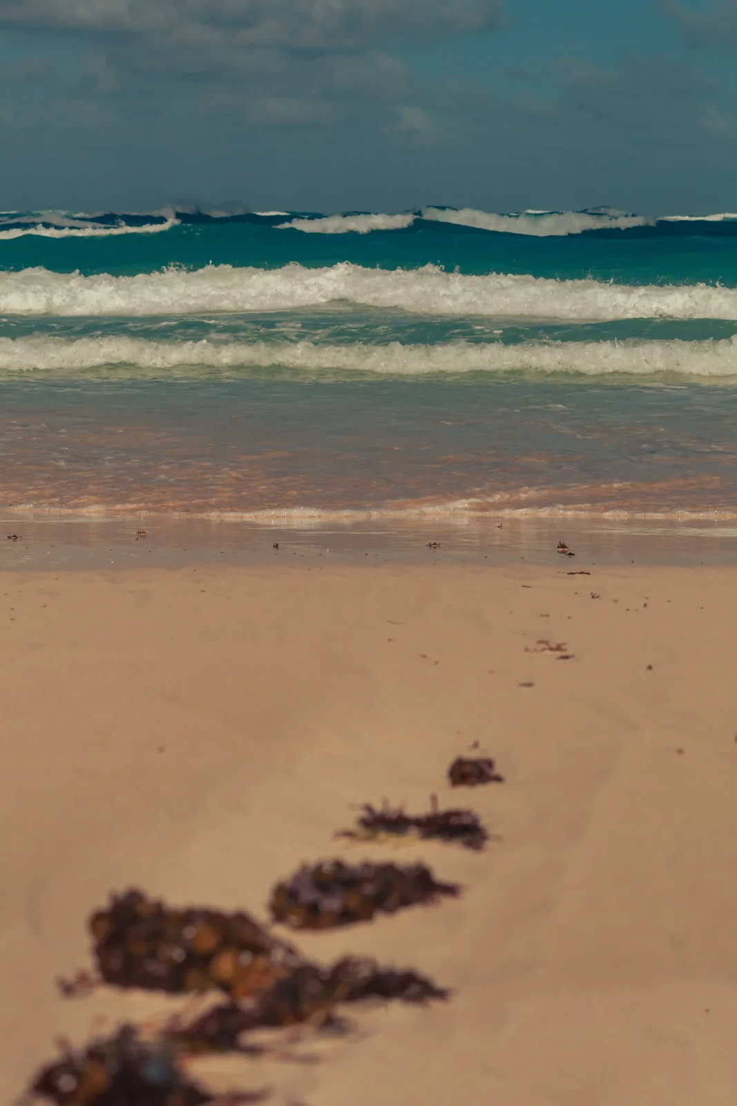 nature photography by JRMGraphy